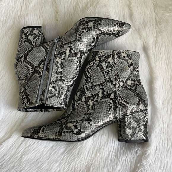 Steve Madden Shoes - Steve Madden Banner Snake Print Bootie